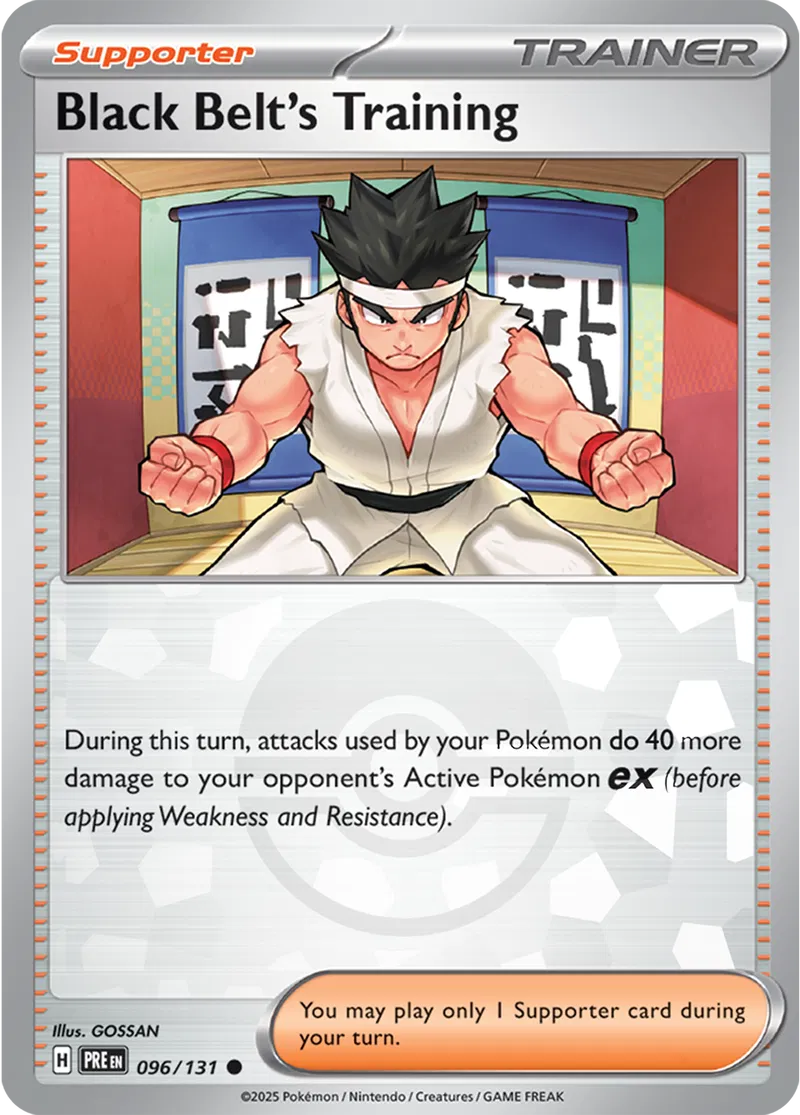 Black Belt's Training Poke ball Holo